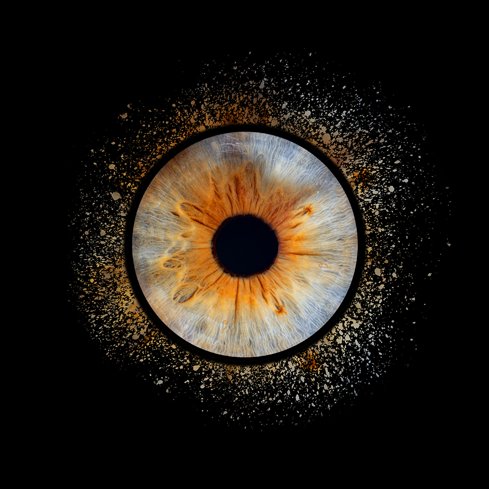 iris