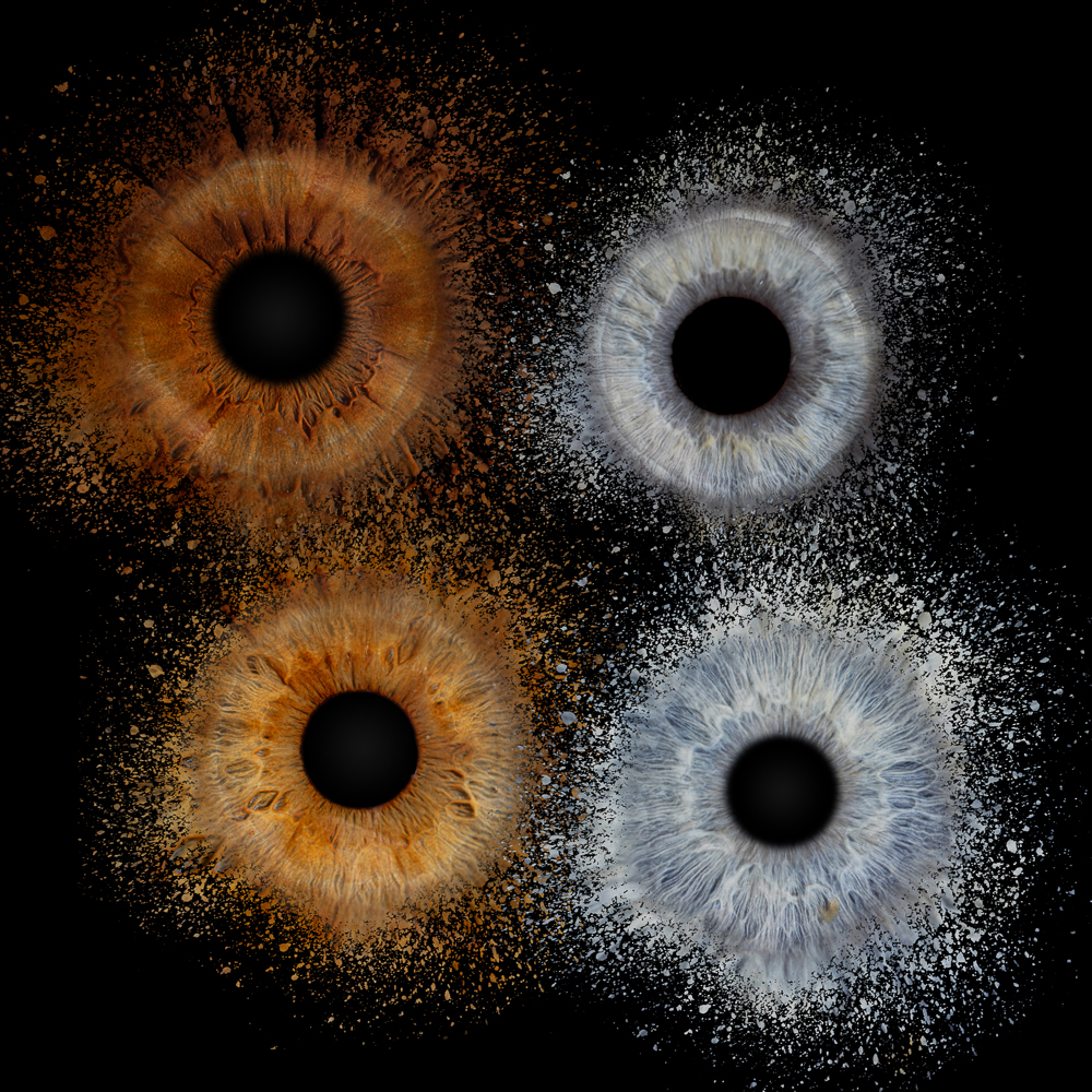 4 Iris portrait de famille